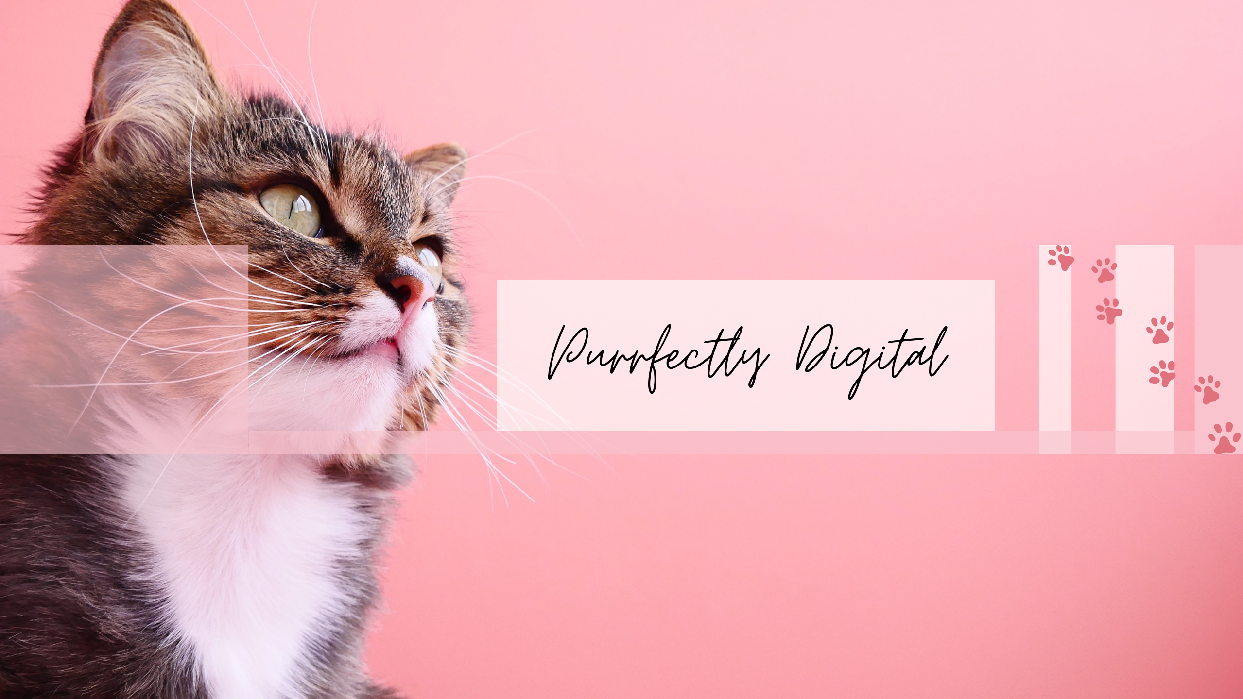 Purrfectly Digital